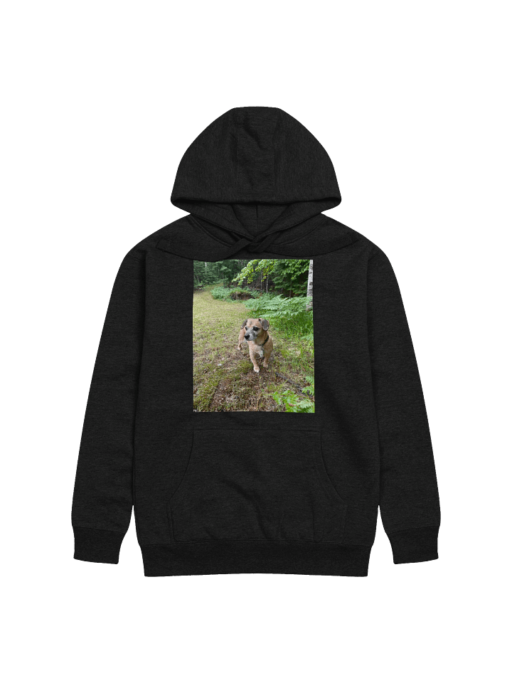 Rocky Hoodie product image (6)