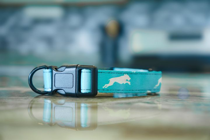 Mint Teal Collar product image (4)