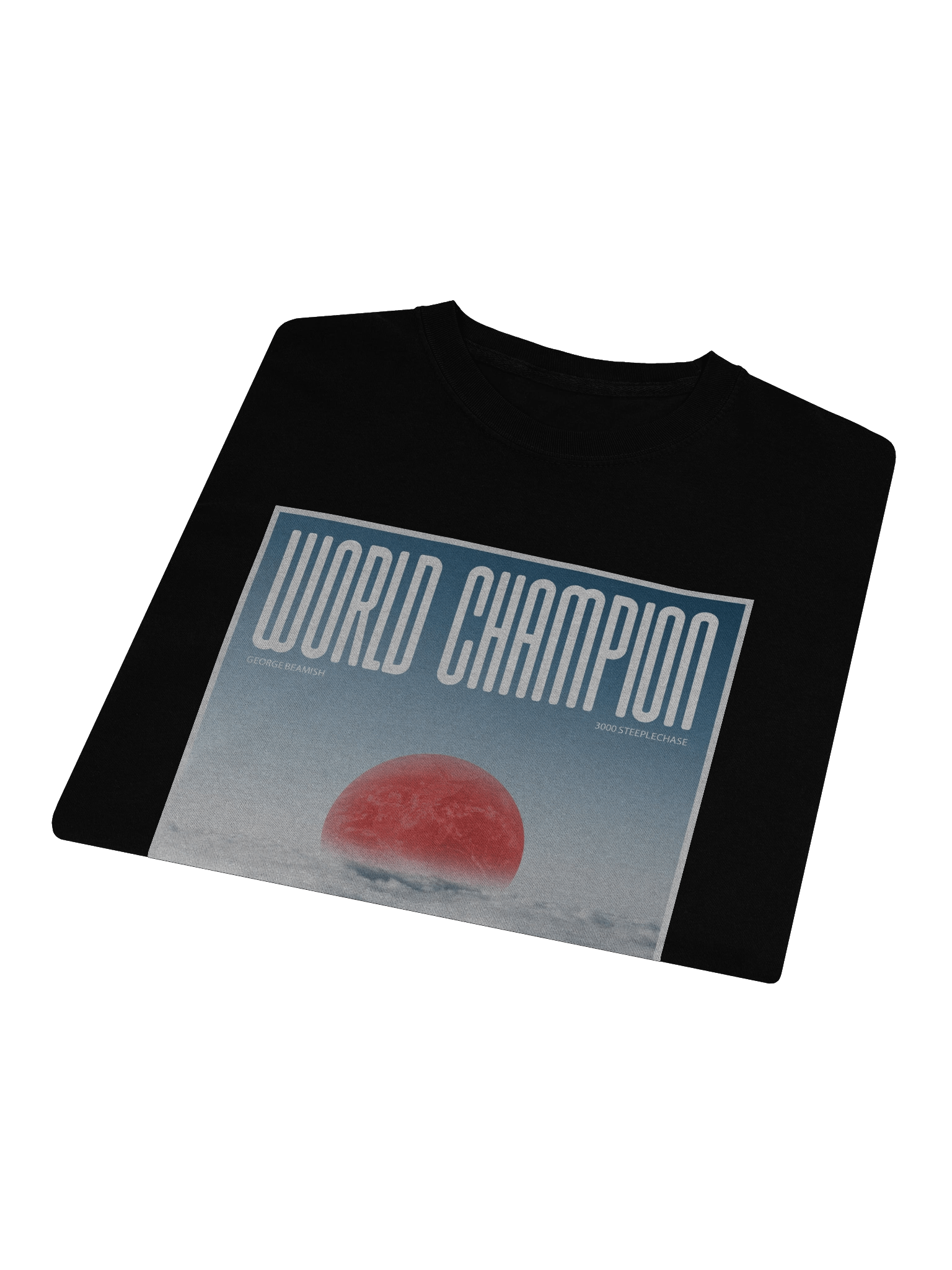 TOKYO WORLD CHAMPION LONG SLEEVE product image (9)