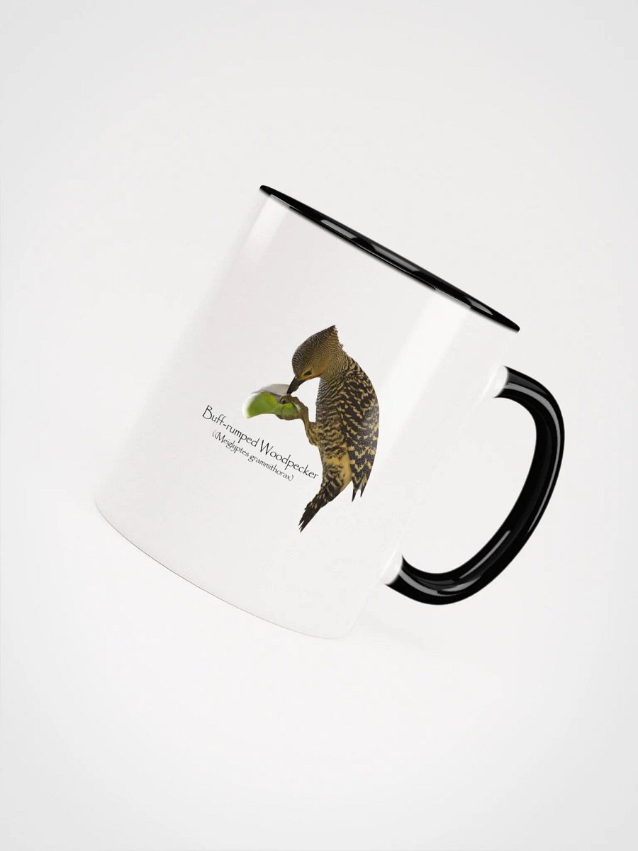 Buff-rumped Woodpecker mug product image (39)