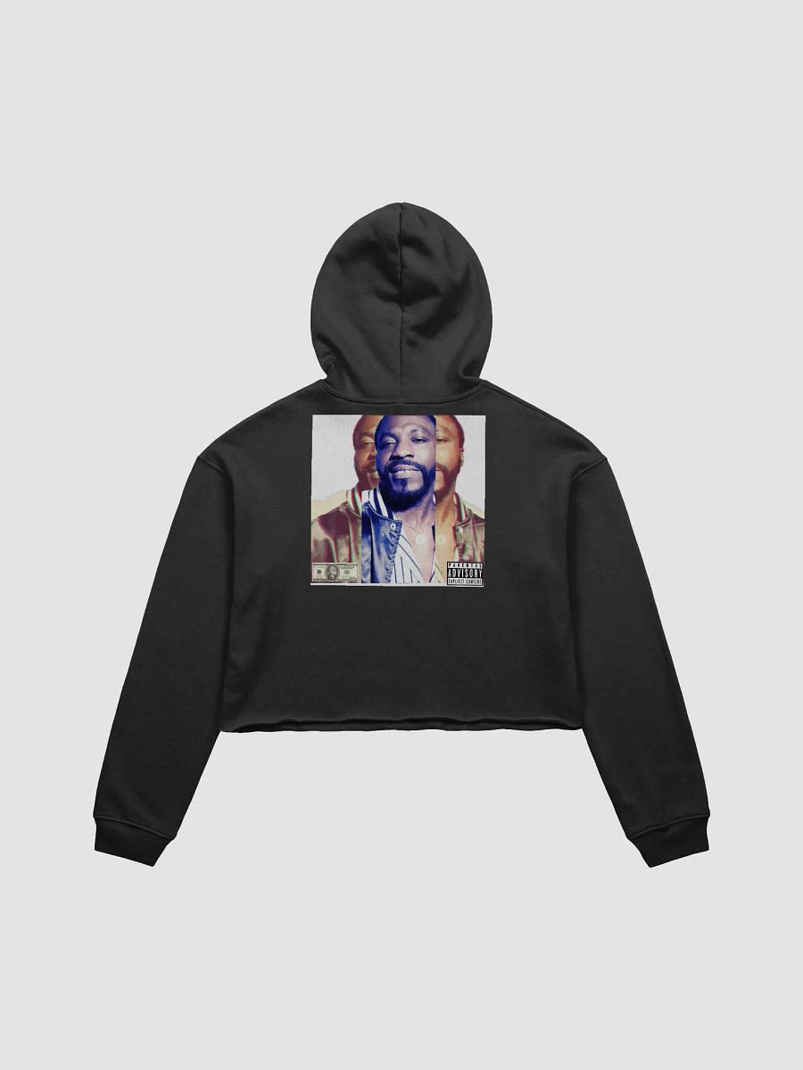 Rhapsody in Metallic Crop Hoodie product image (7)