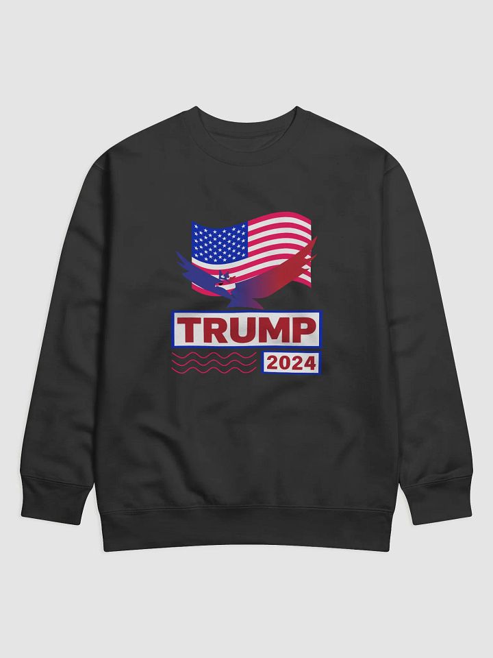Patriotic Eagle 2024 Sweatshirt product image (1)