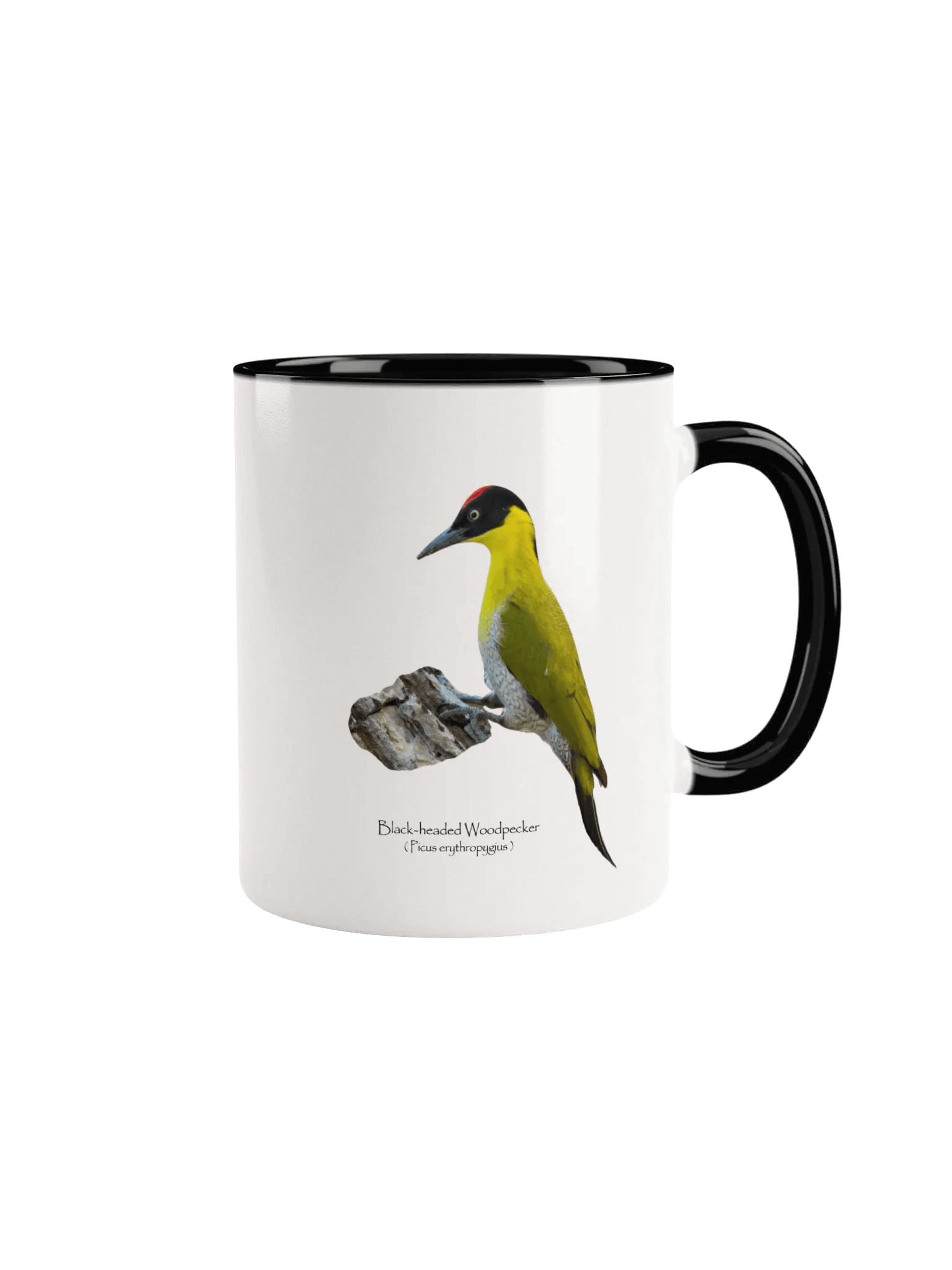 Black-headed Woodpecker mug product image (9)