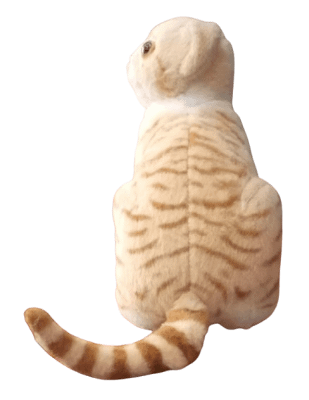 CAT SOFT TOY product image (4)