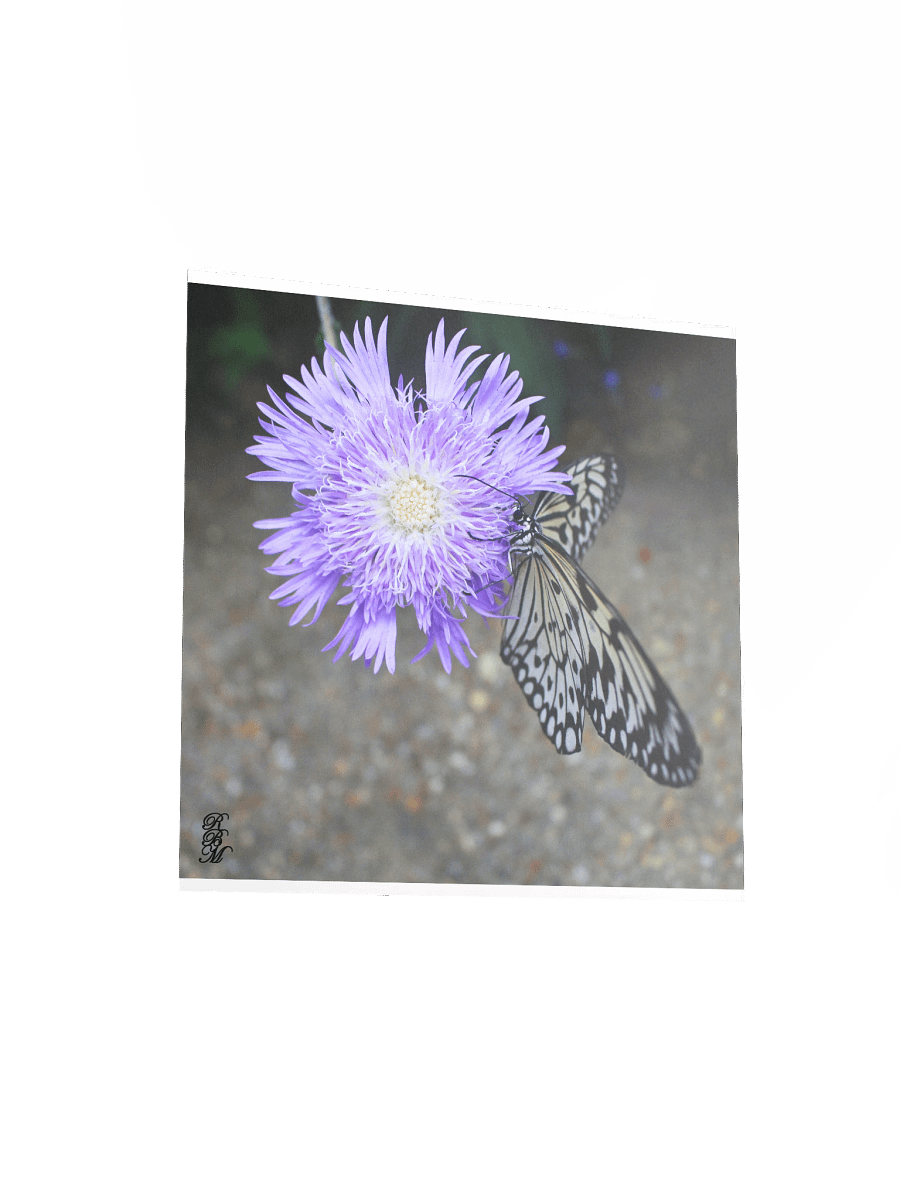 Yellow Butterfly on Purple Flower product image (12)