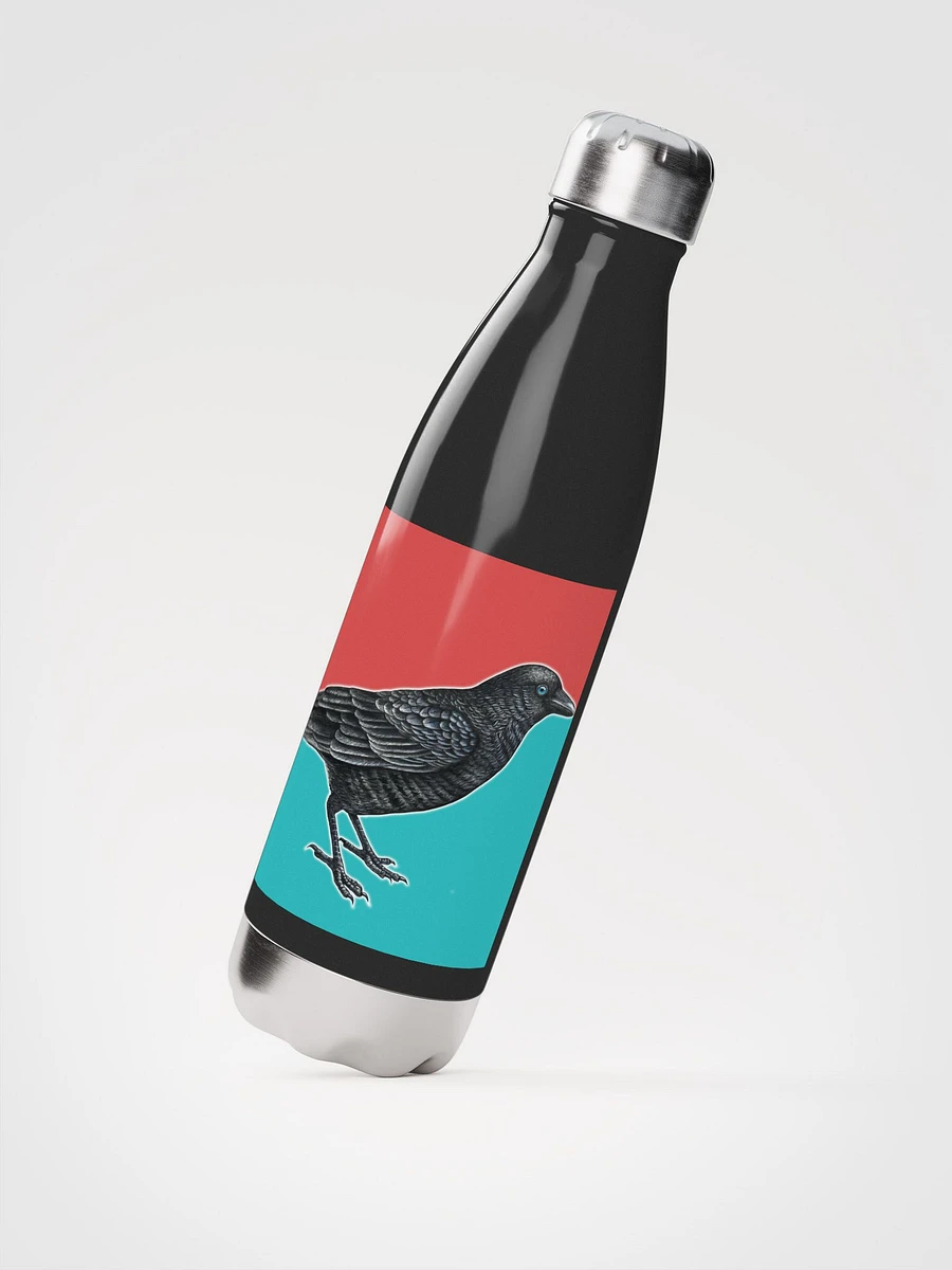 Fly SS Water Bottle 17oz product image (1)