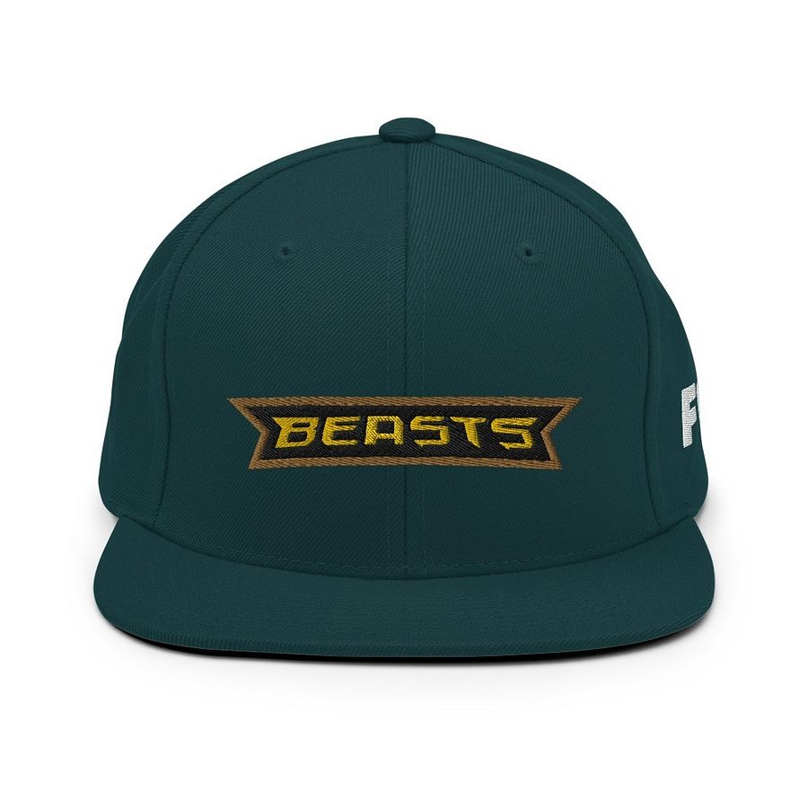 Beasts Classic Embroidered Snapback product image (1)