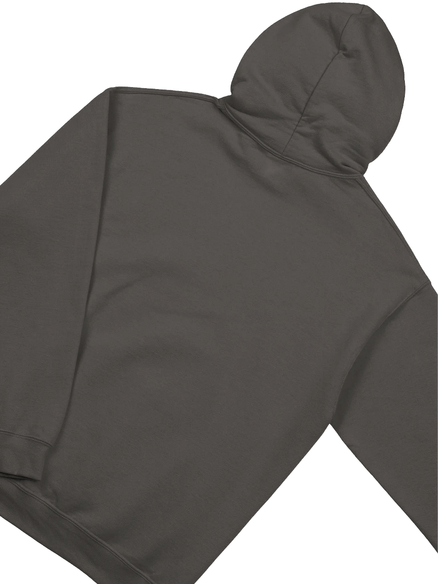 Empowered Women Classic Hoodie product image (4)