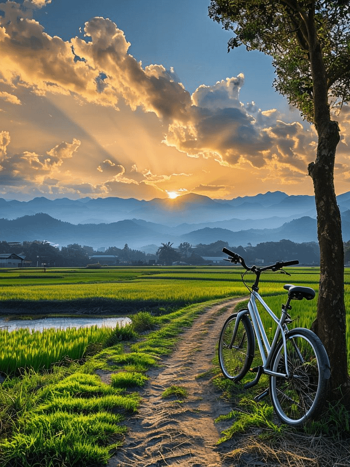 Sunset Bicycle Serenity Poster product image (1)