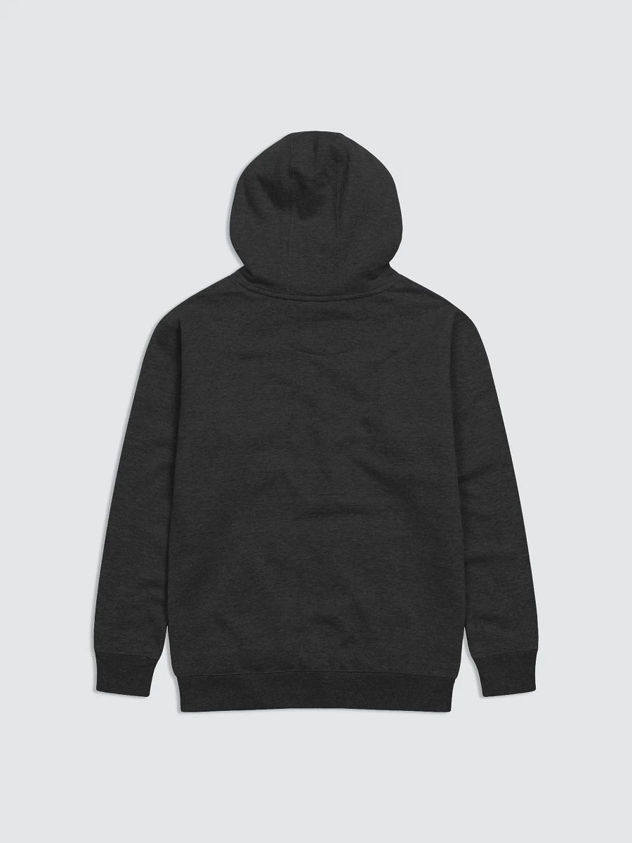 TMWC MCFLY HOODIE product image (2)