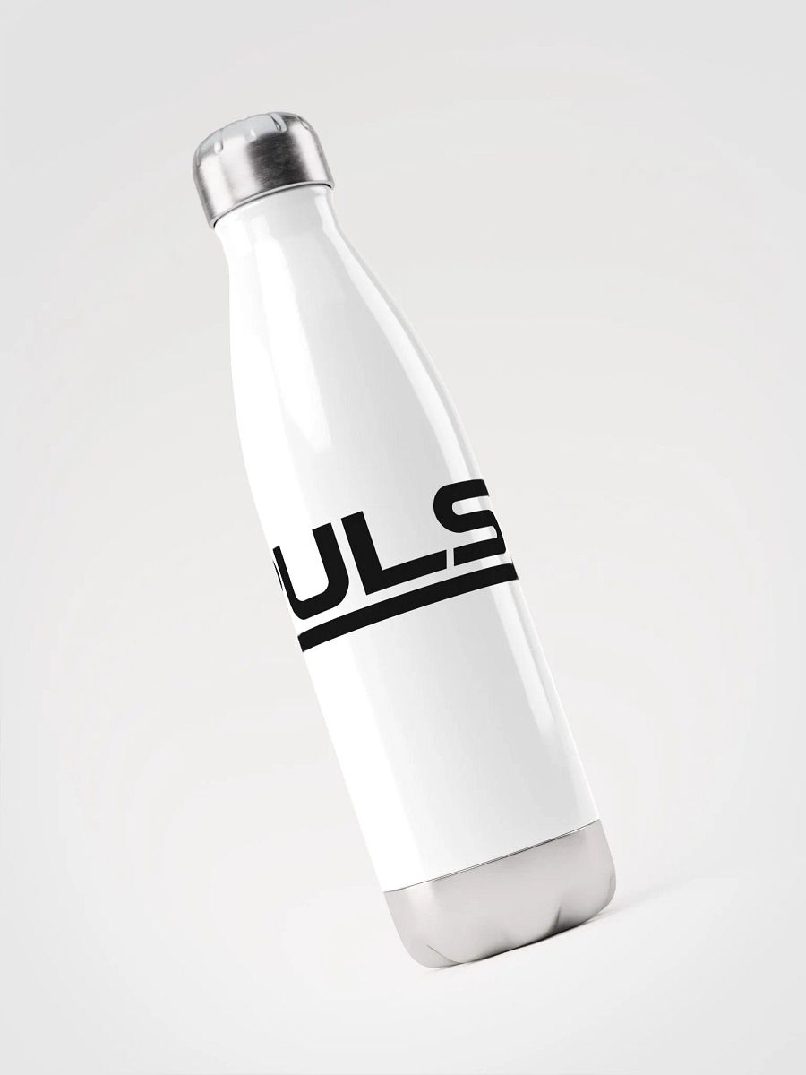 Stainless Steel Water Bottle product image (3)