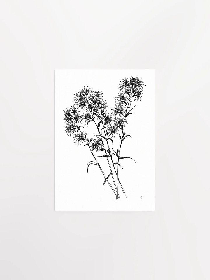 Monochrome Botanical Bliss Poster - Bouquet Flowers product image (1)