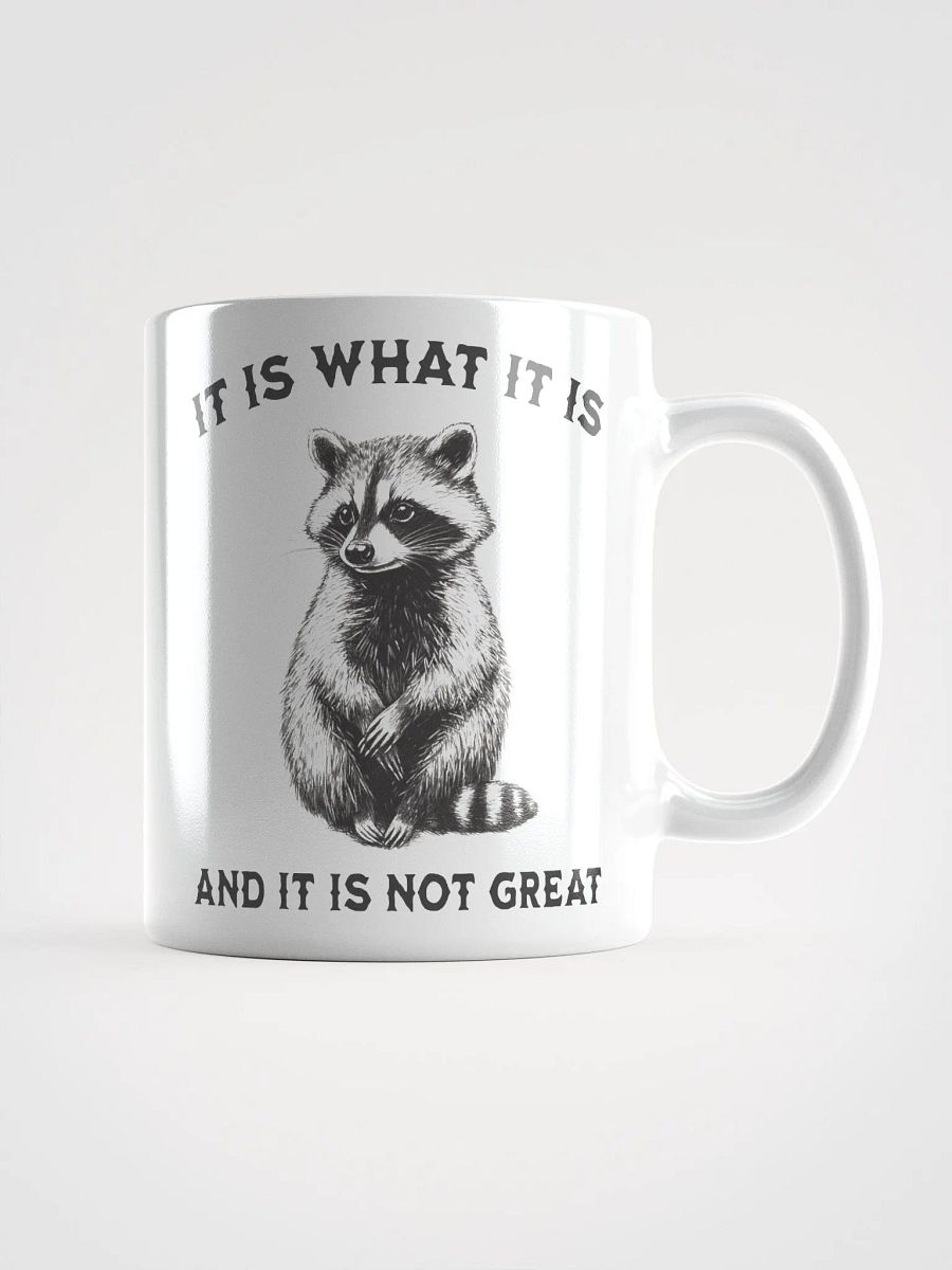 Raccoon It Is What It Is Mug product image (6)