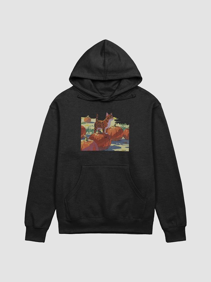 Whimsical Cat and Pumpkin Hoodie product image (2)