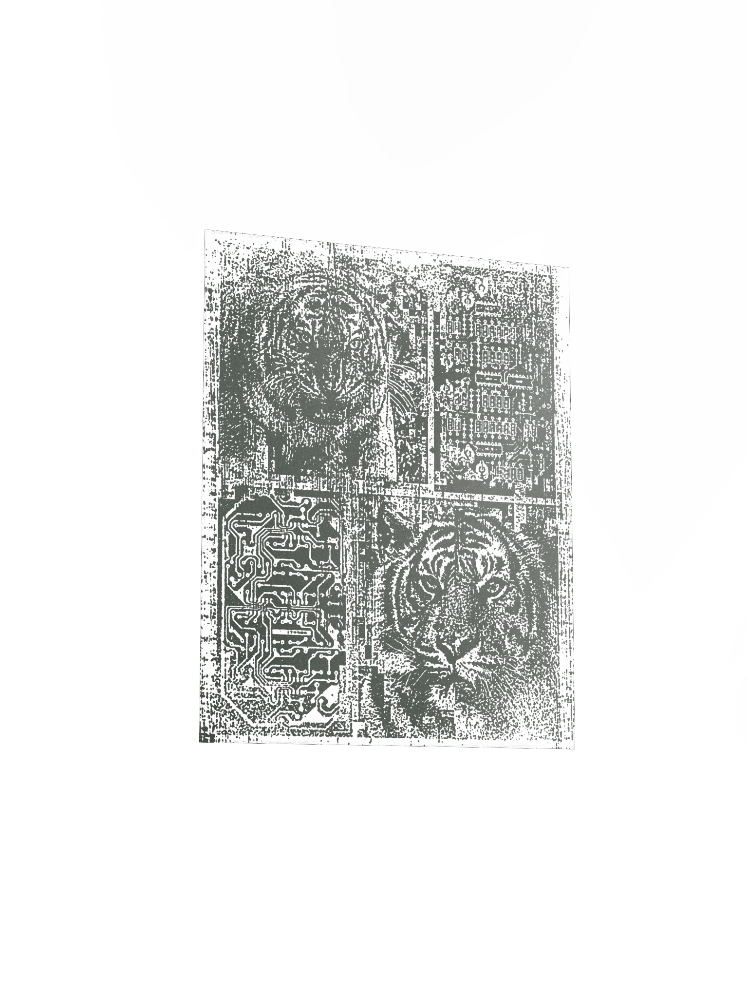TIGER CHIP product image (3)