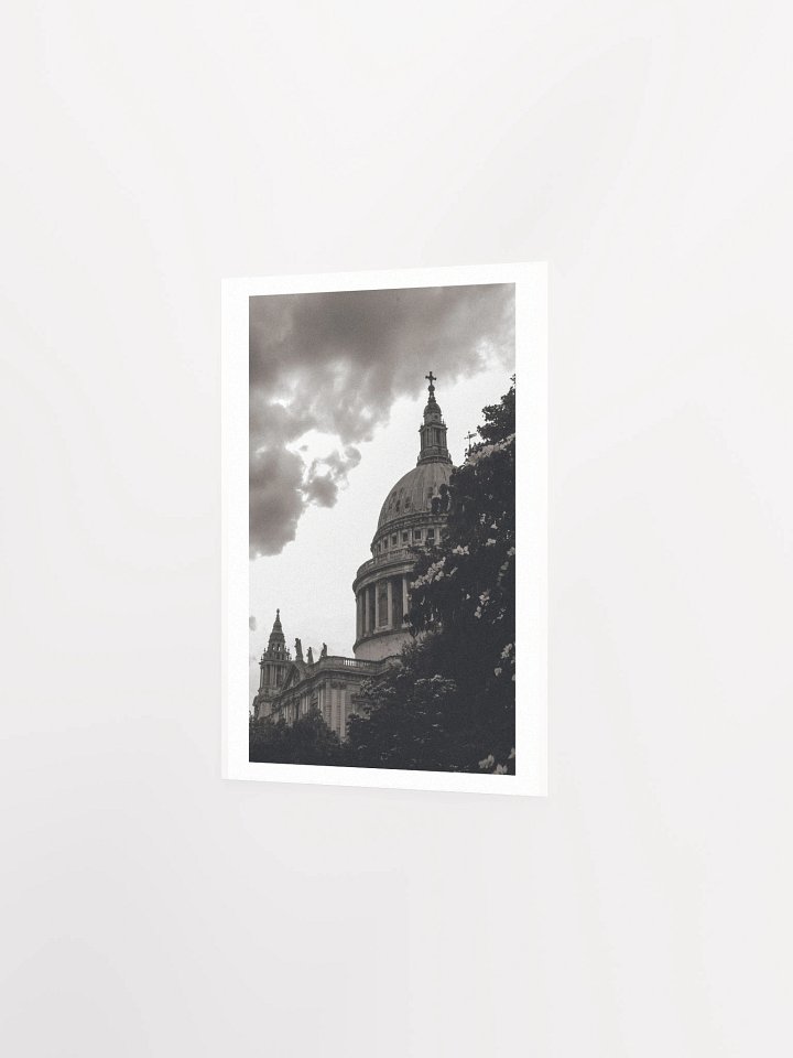 Flowers of St. Paul - Black & White / Print product image (10)