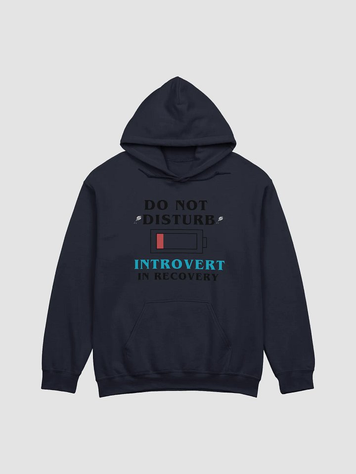 Do Not Disturb: Introvert Hoodie product image (3)