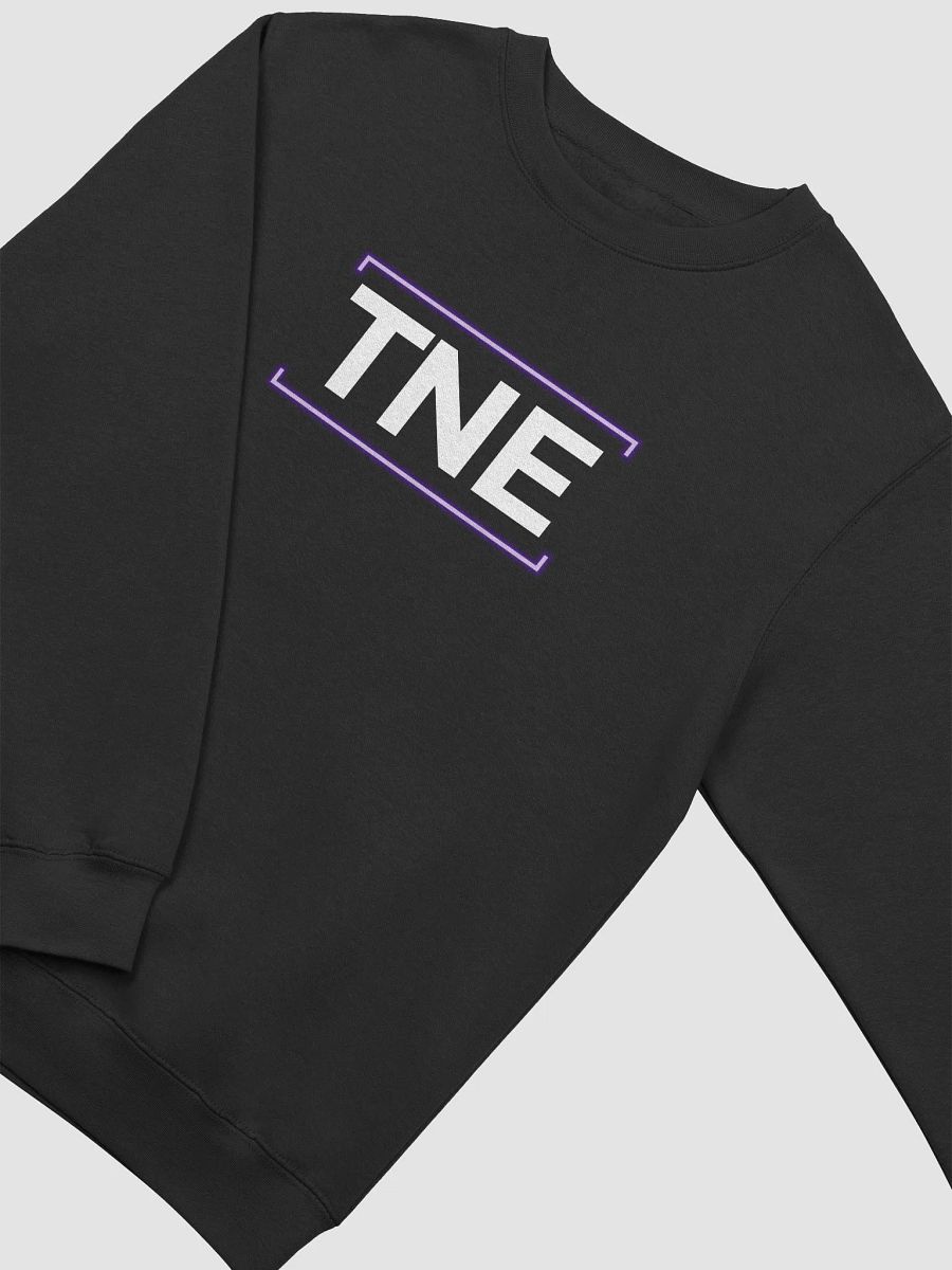 TNE Sweatshirt product image (3)
