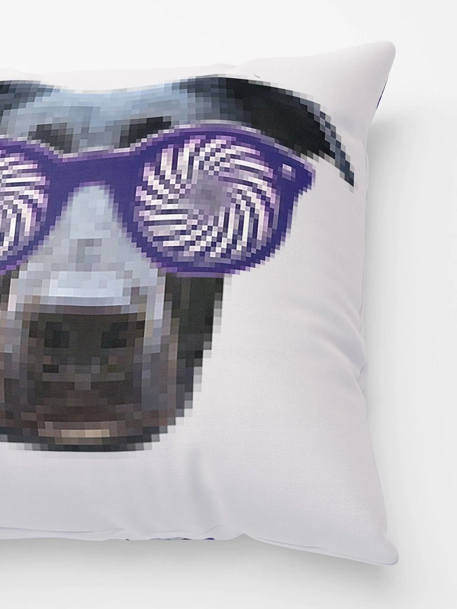 XraySnerb Pillow product image (4)