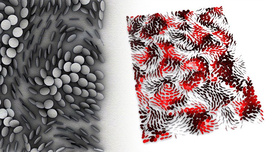 Curl Noise Parametric Facade Grasshopper Rhino Files Download product image (2)