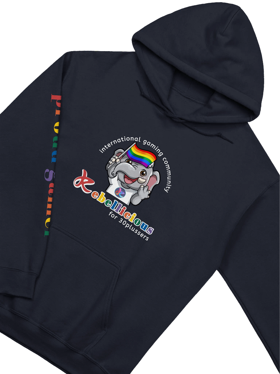 Rainbow Gamer Pride Hoodie product image (3)