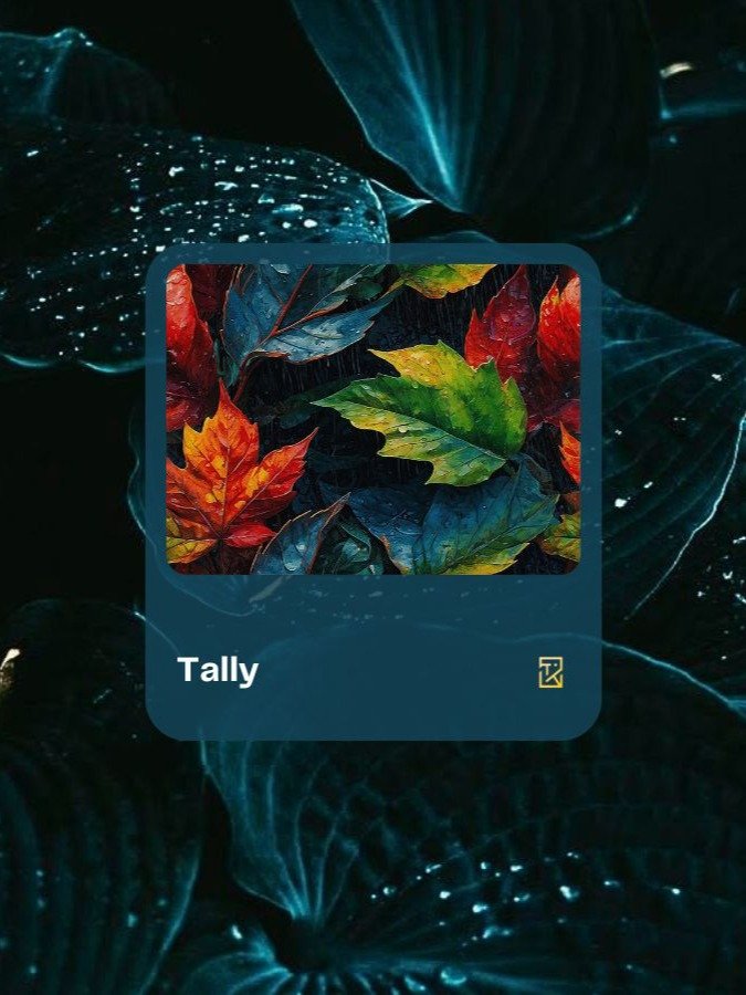 Tally product image (1)