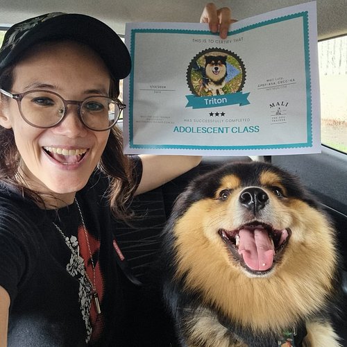 Congratulations Triton for graduating Adolescent Class today! 🥳 Car photos, coz the storm rolled in right at the end of class...