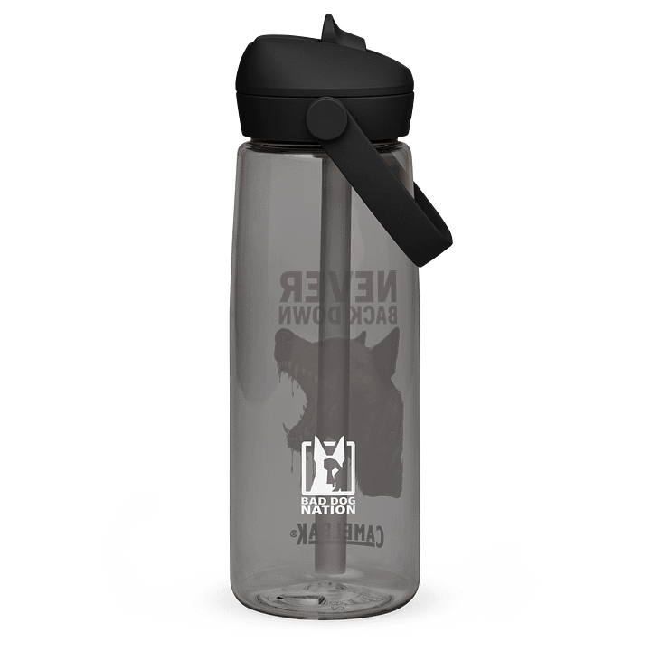 Never Back Down Water Bottle - Camelbak product image (4)