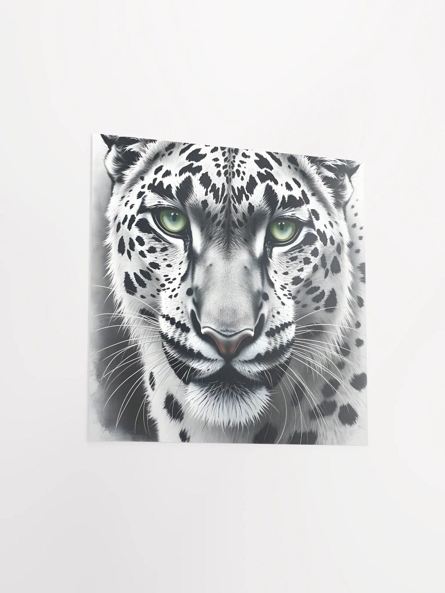 Snowleopard product image (14)