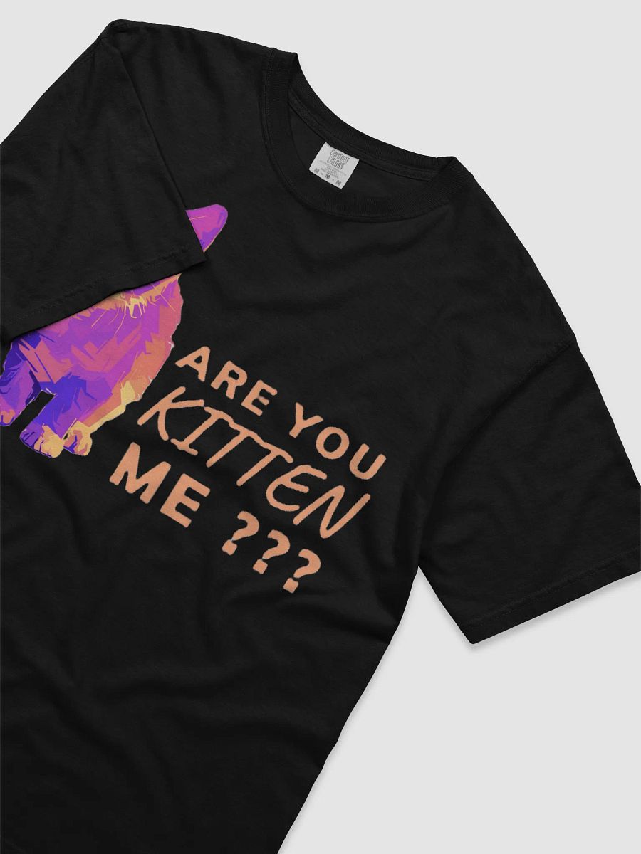 ARE YOU KITTEN ME??? product image (29)