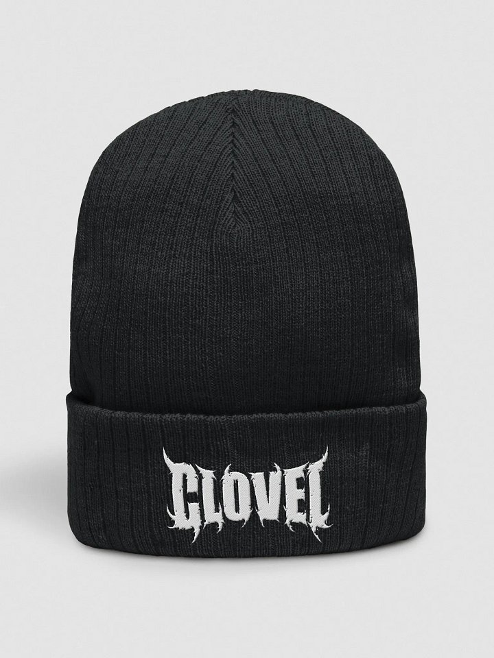 Logo Beanie product image (1)