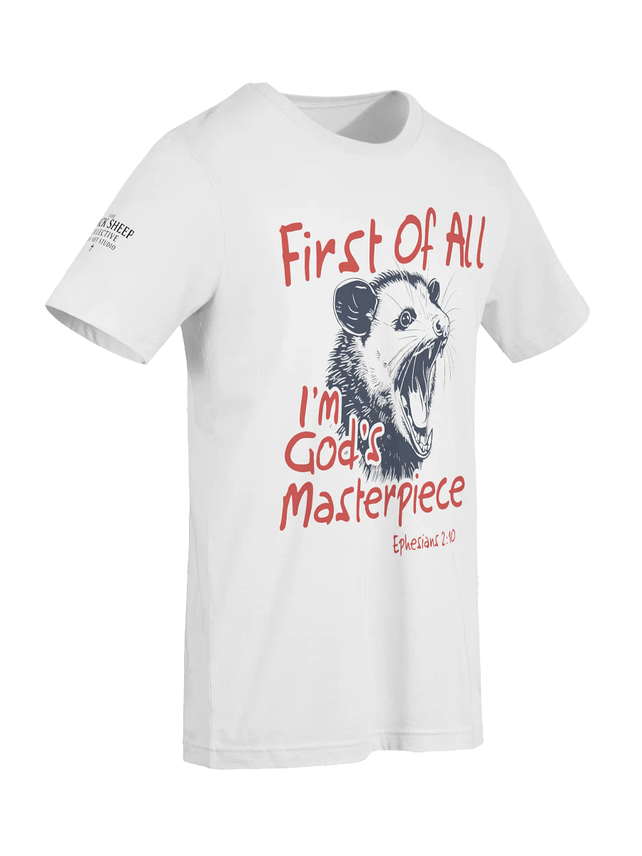 God's Masterpiece Opossum T-Shirt product image (9)