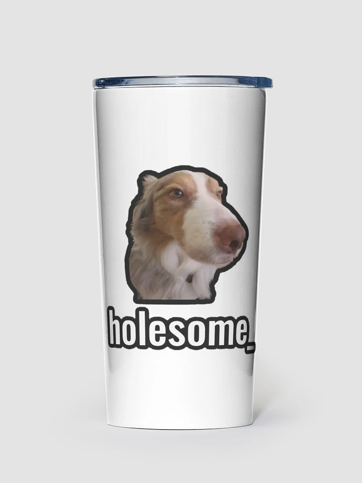 holesome Stainless Steel Tumbler (20oz) product image (1)