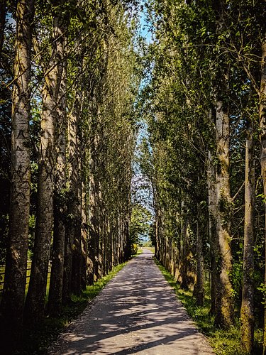 More old nonsense I took photos of over the years.