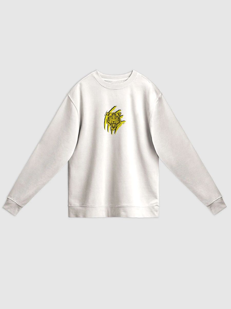 Sudadera con pigmento gráfico edición TryTiger product image (2)