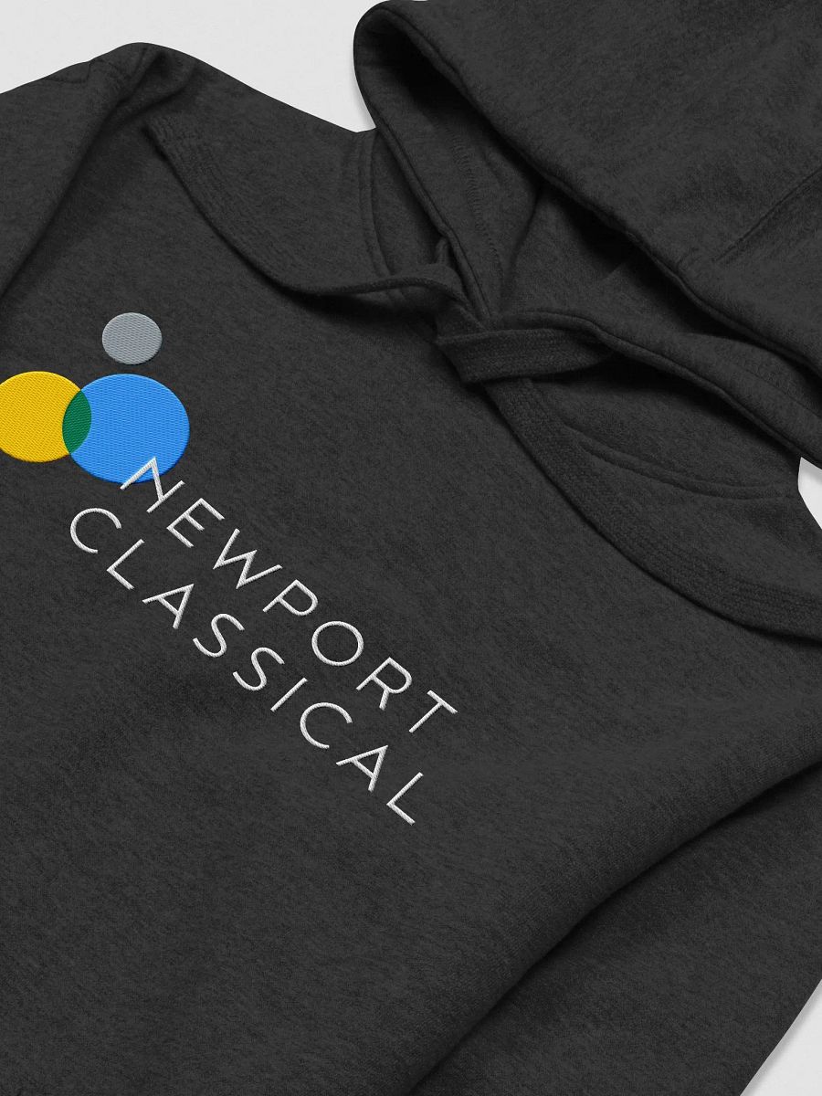 Embroidered Hoodie product image (3)