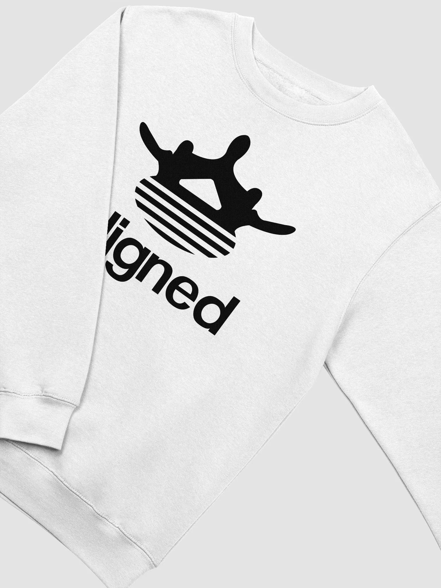 Aligned Sweatshirt product image (3)