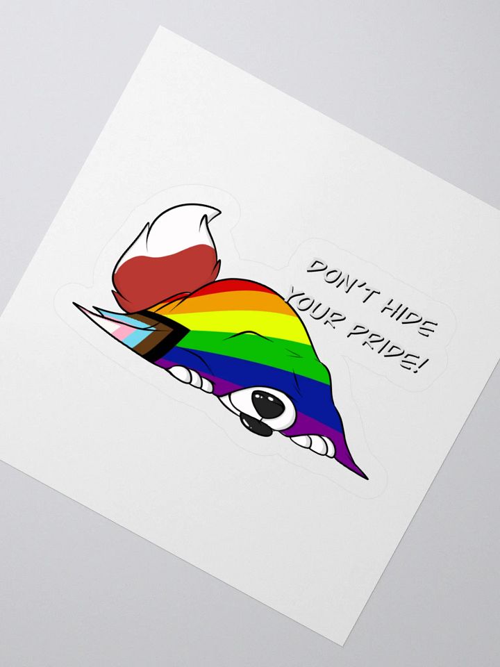 Dont Hide YOUR PRIDE product image (5)
