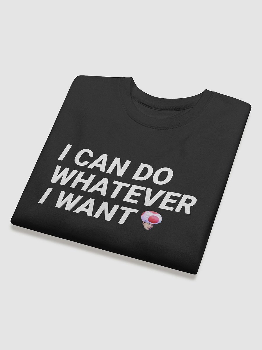 I CAN DO W.E I WANT SWEATER product image (4)