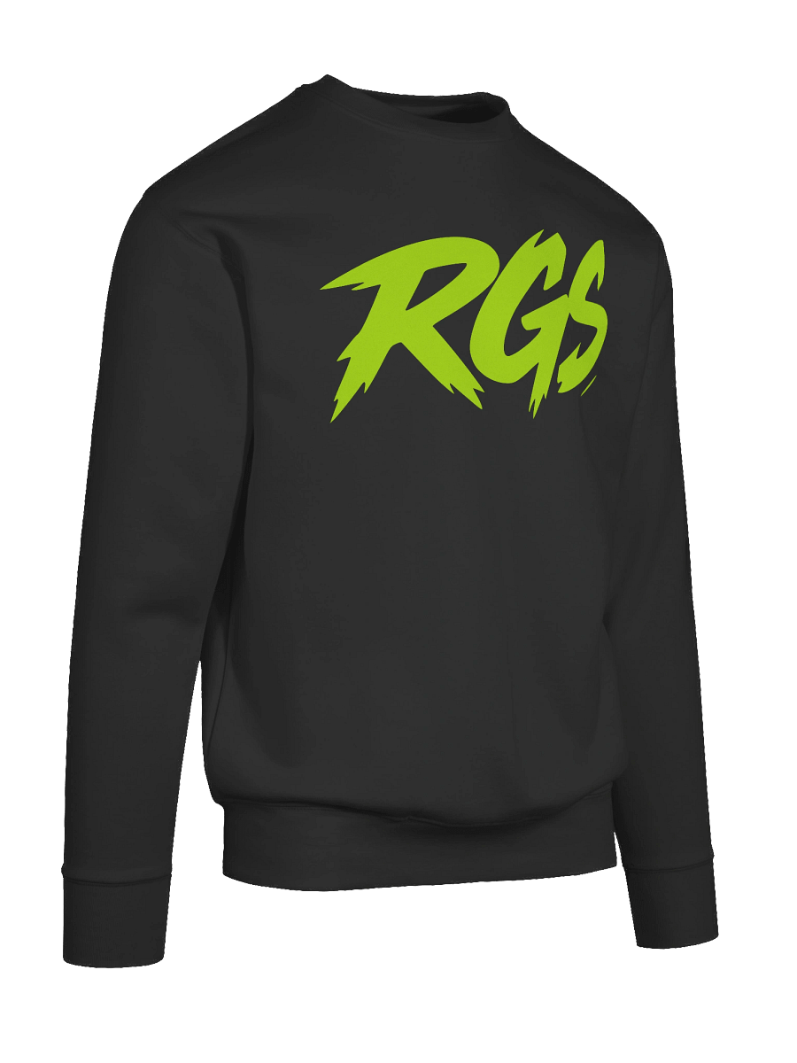 RGS Gamer Sweatshirt – Indie Spirit Pullover product image (10)