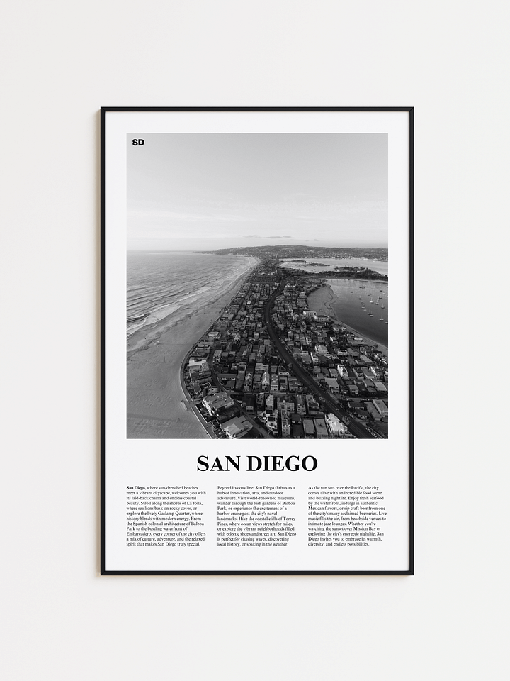 San Diego 02 Newspaper Poster product image (1)