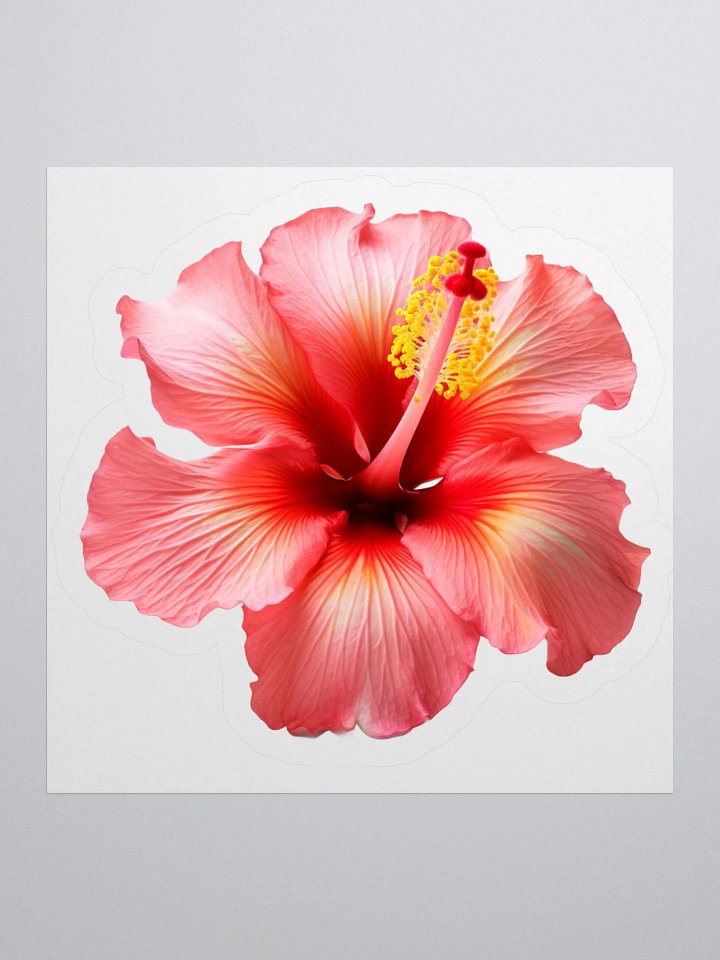 Hibiscus Harmony Sticker Set product image (1)