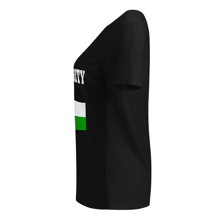 Solidarity Flag Fitted V-Neck T-Shirt product image (2)