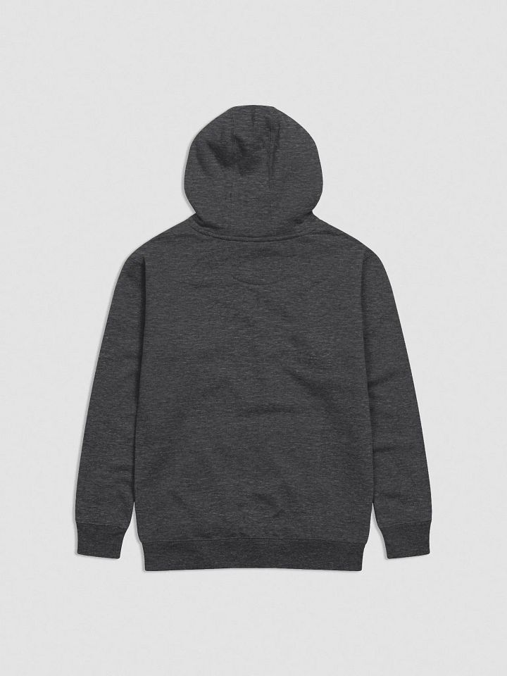 Cat on the Reformer Hoodie product image (2)