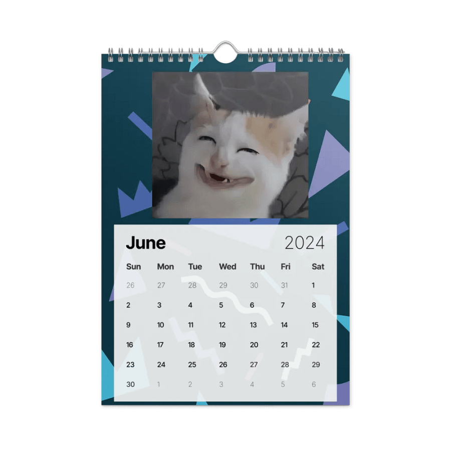 Wall Calendar (2024): Meme Cats product image (12)