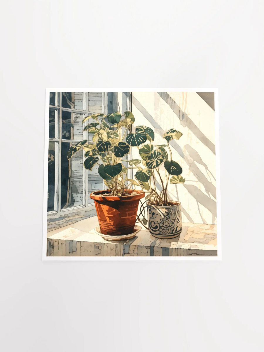 Art2401-10 Potted Plants Still Life - Art Print product image (16)