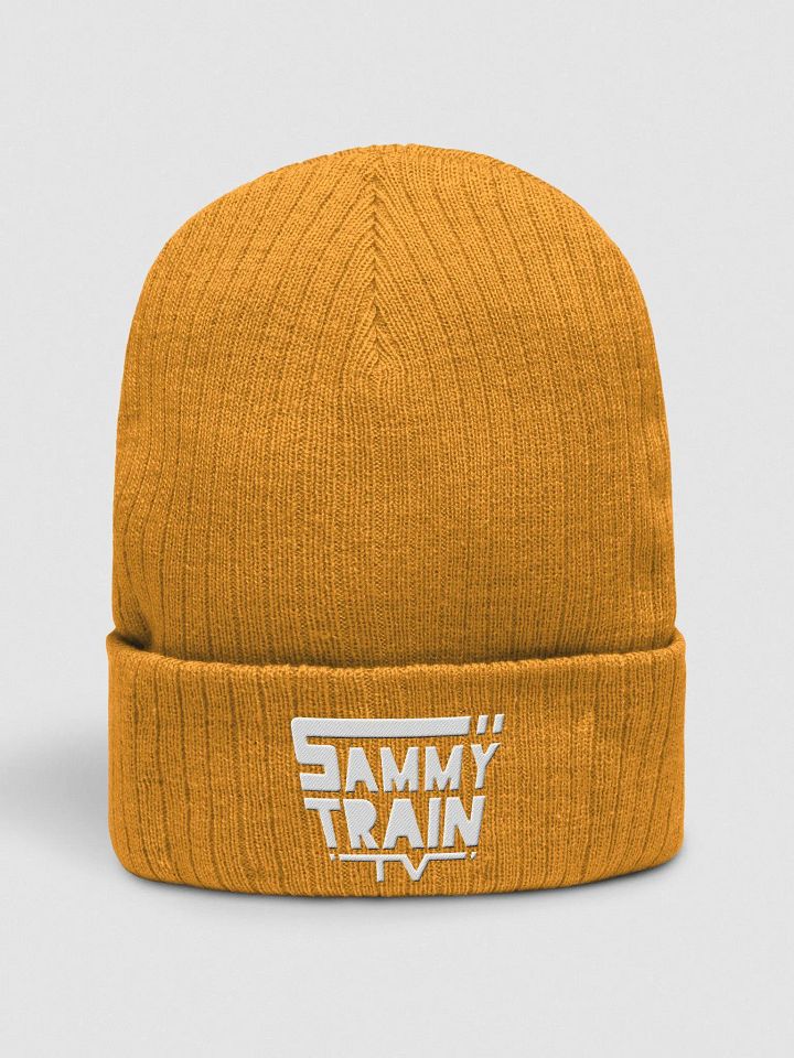 SammyTrainTV Logo Beanie product image (1)