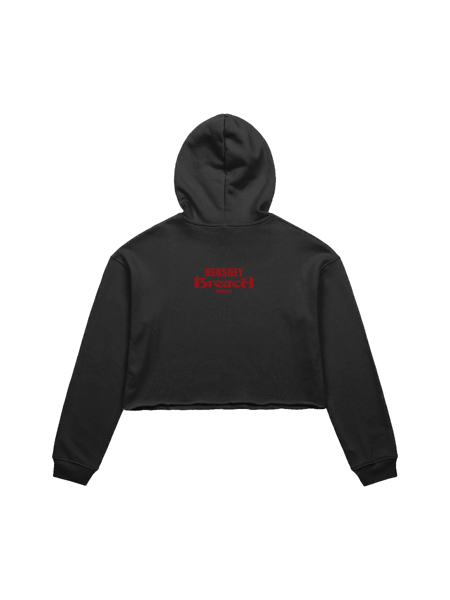 Breach Hersheypark Stadium Crop Top product image (2)