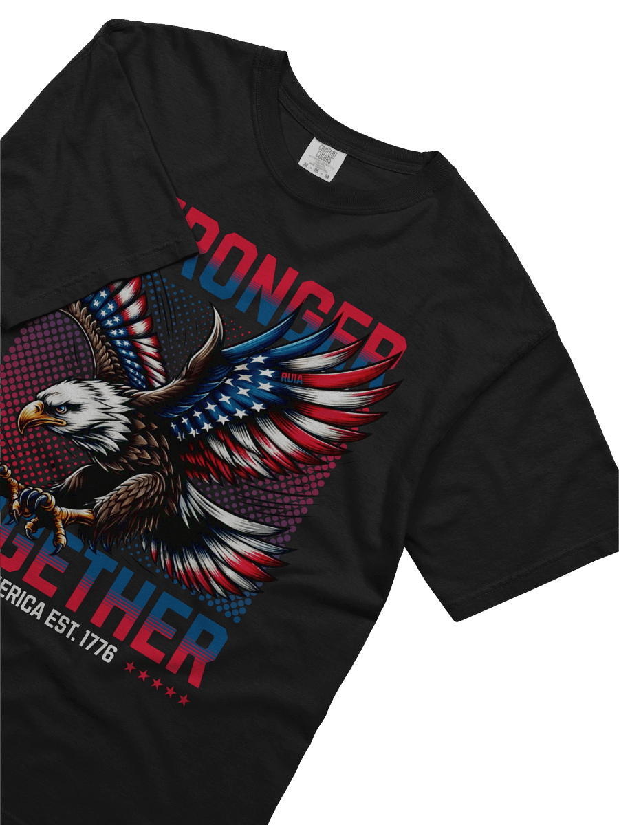 Stronger Together - America EST. 1776 product image (3)