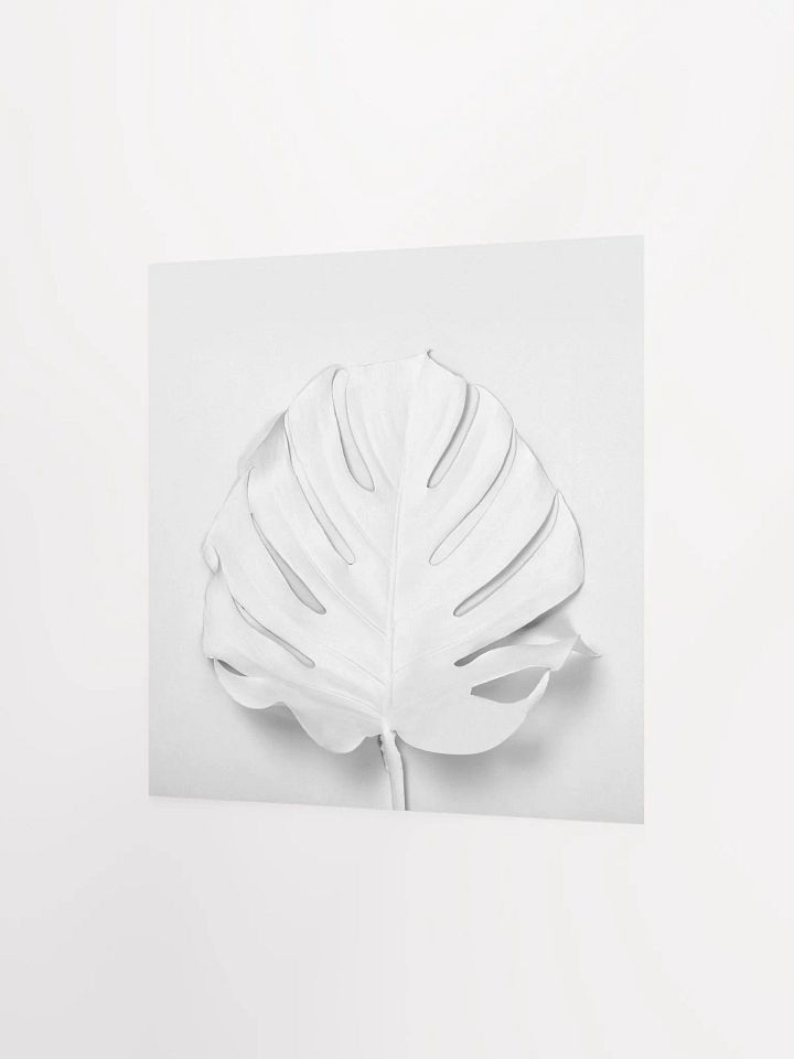 Monochrome White Monstera Leaf Art Print product image (2)